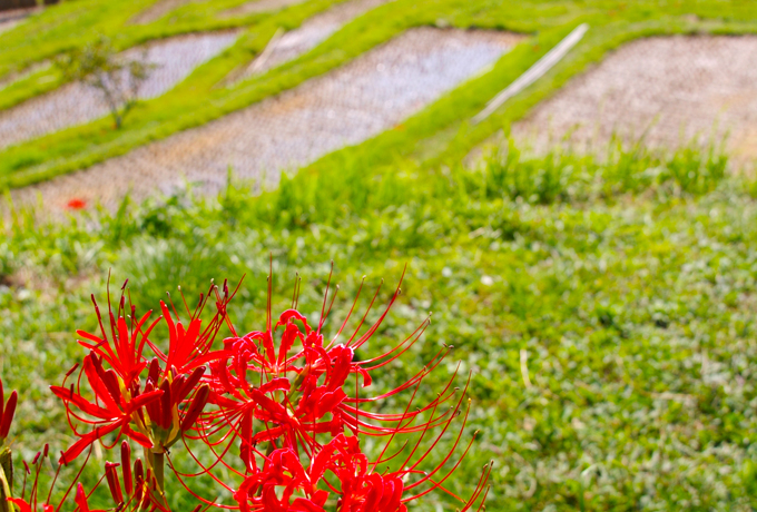 �ꑫ��������̏H���}������R�疇�c�\�\��t������s