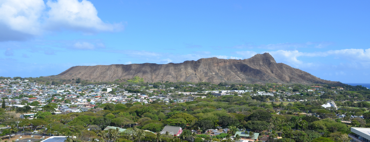 iƂ߁IuAXgECLLETZbgv͕炷悤ɑ؍݂łRh~jA