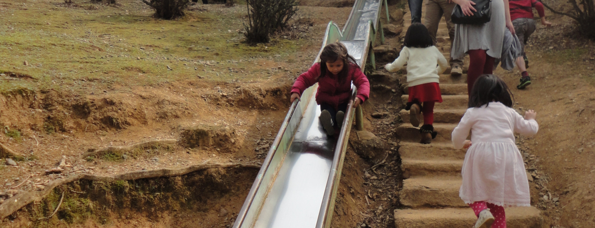 ȎqƊyދsIÎߏꏊ̓RRI