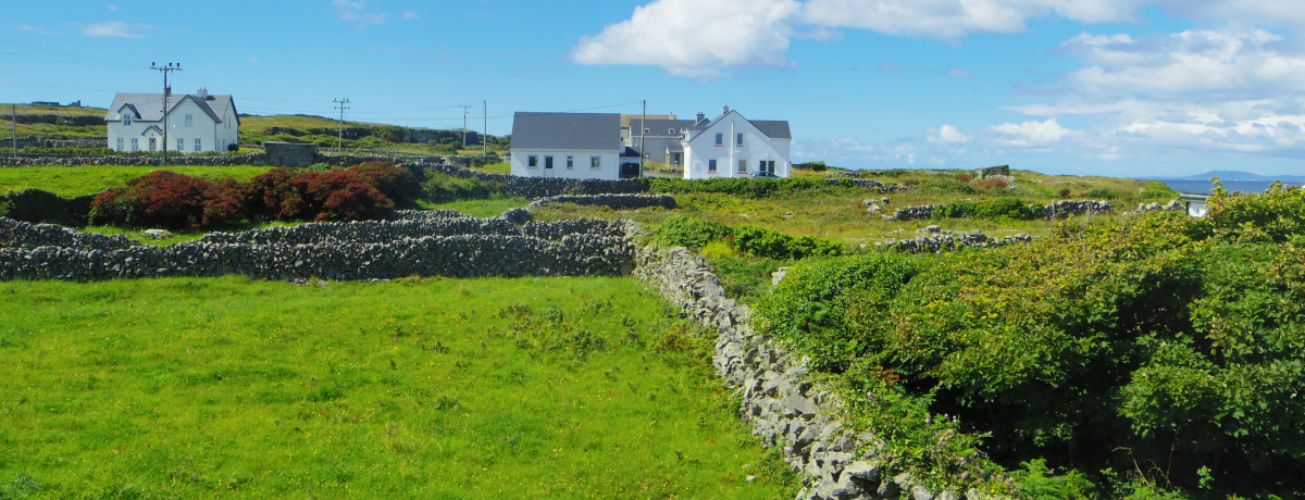 ŉʂĂ̒nEAChuAv̐iƌÑ