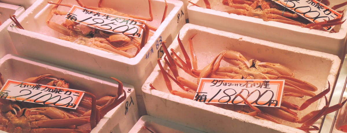 ԌI~̋́u\KjvuuvȂǔ̋ʎ蔠