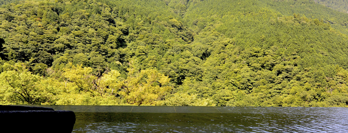 uVvGINYU SPA͏hȂĂɏg[ggŖSn