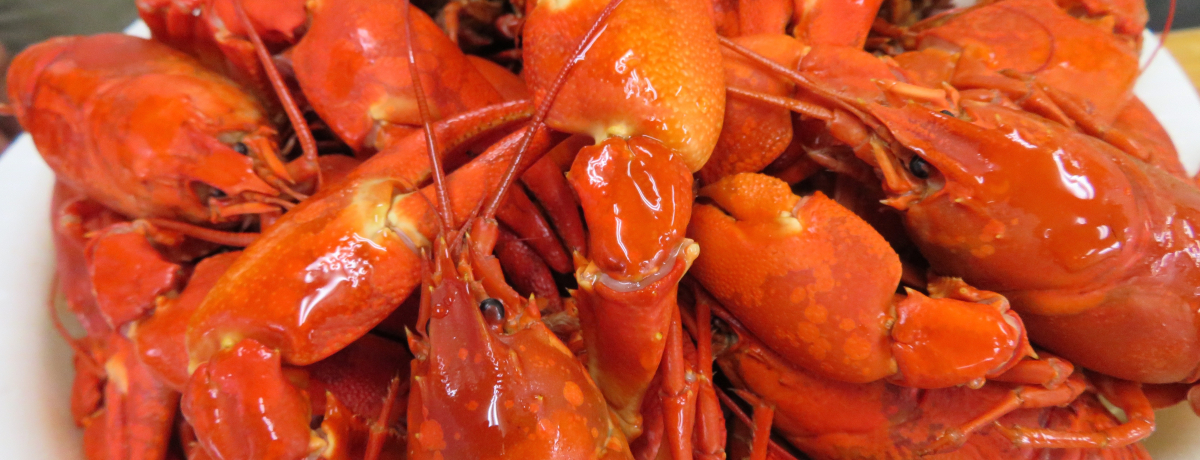 ΂̃UKjIZ~\ƏiȊÂ݂̐g\