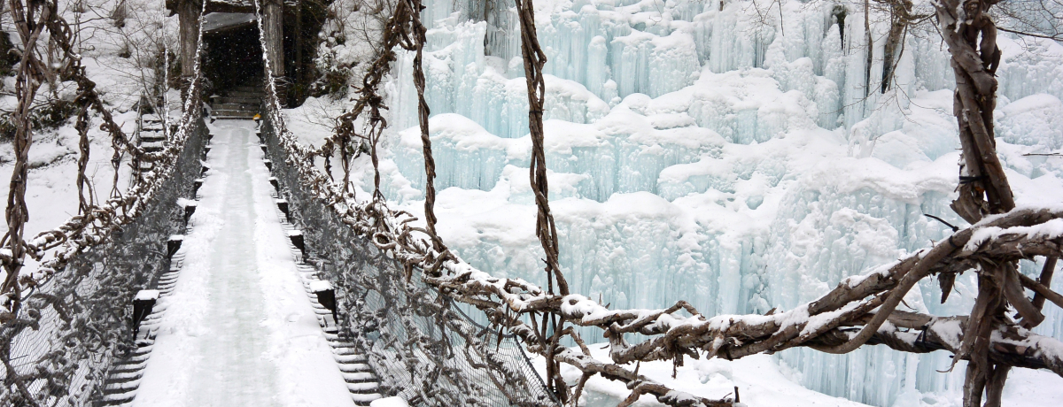 �X�e��ጩ�I�V�A���܂���Ղ�œ~�𖞋i�I�����쉷��u�{�Ɣ��v�v