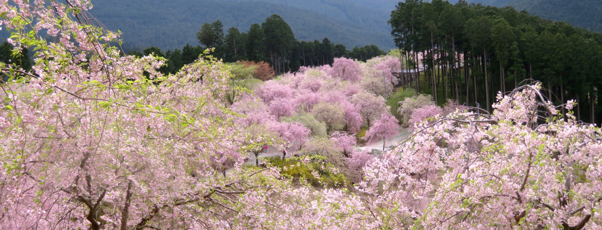 �R���ɍ��̐�i�I�ޗǁE���g�쑺�u�����̋��v�̊J����4�����{�܂�