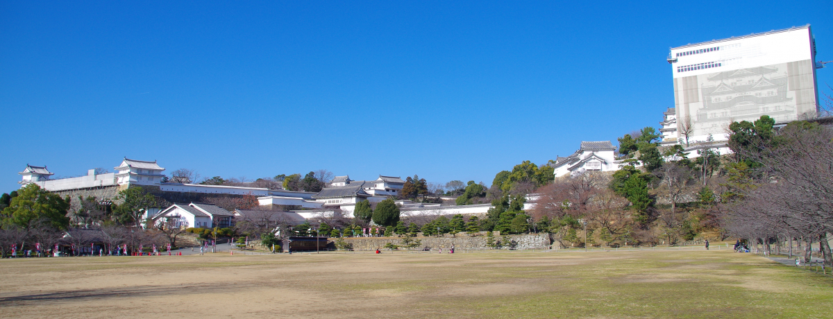 ̓h}uRtqv̖̎cƂǂ߂uPHvBmĂƃh}όɊy߂I