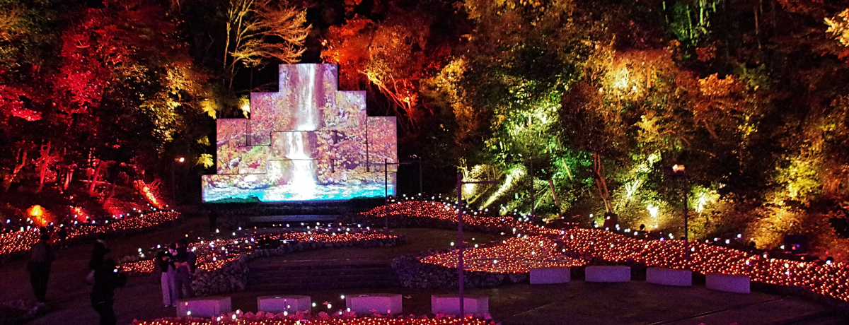 ֐No.1̃C~l[V lX^C~iilX^][g_ˁj