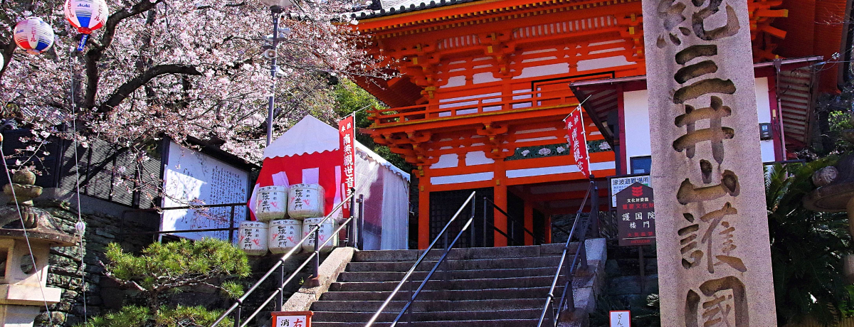 a̎RuIO䎛vт̊KiċF̑ω̂Ƃ