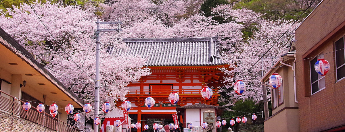 a̎REIO䎛̍܂A֐ɑ炫̖t