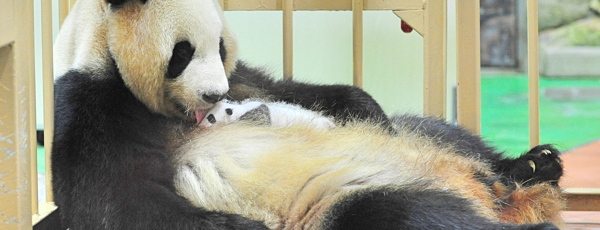 ͂߂Ă̘a̎R12Aߊόfv3I