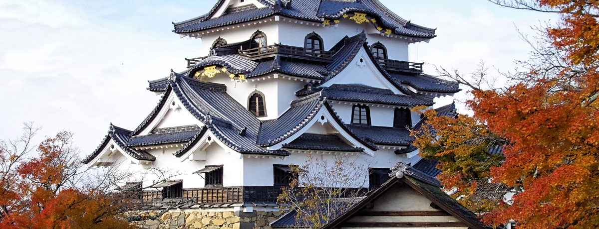 ���ꌧ�̖����u�F����v�Ɓu���{���v�̔��������ǂ�����Љ�