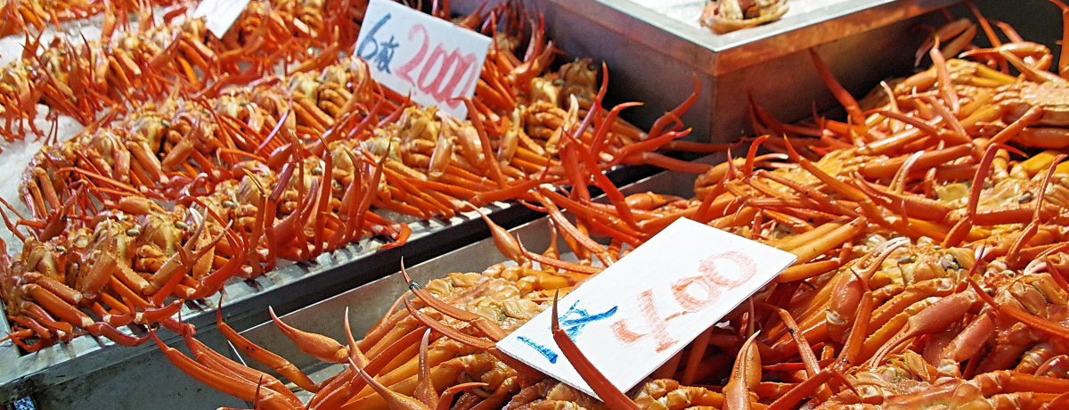 ����u���`���Y�������Z���^�[�v�Ŕ��������x�j�Y���C�K�j��H�ׂ悤