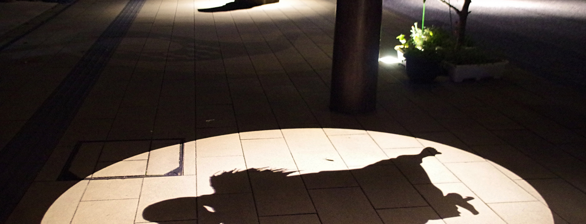 邱su؂郍[hvd߂挧`