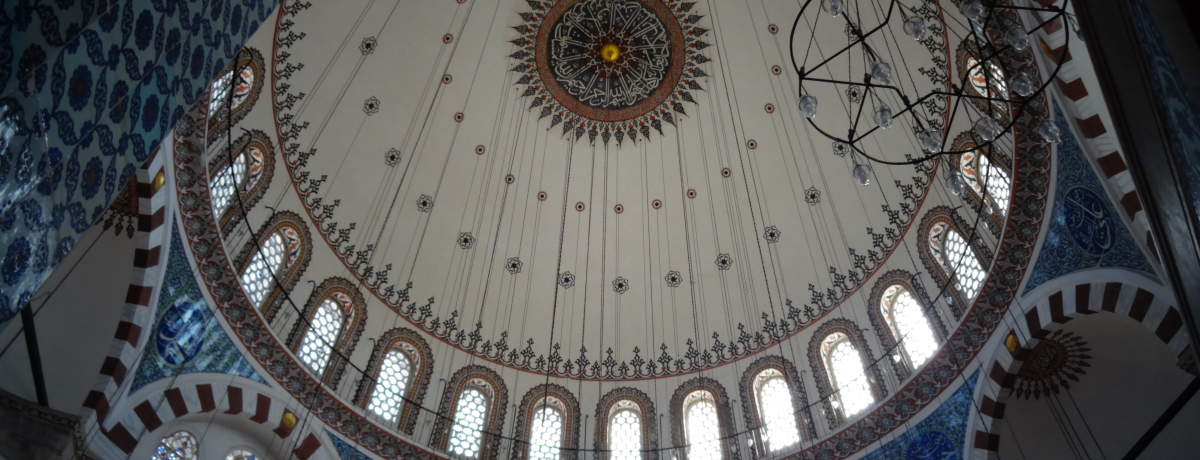 CX^u[̏ȕ΁BXeEpVEW~C͏G̔I