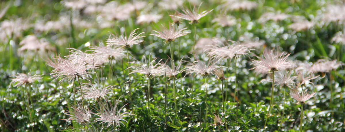 rMi[njIRAɖuRgbLOv