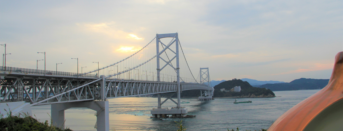 WHhCu悤IԂj[X|bg܂ŐVꏄ