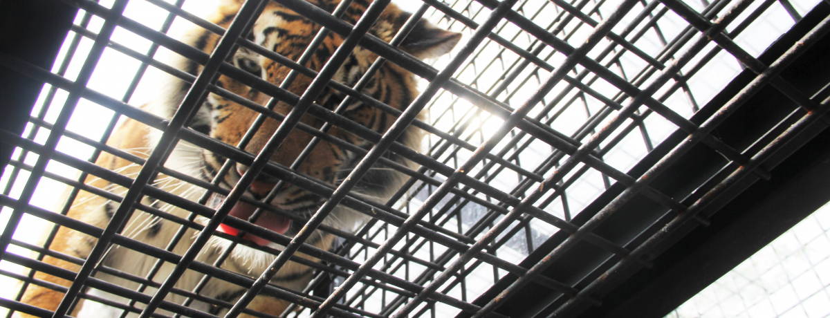 PHZgp[Nu`Chv͓Ƃ̋߂߂I