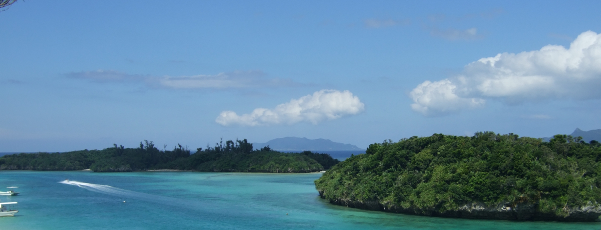 �N�����s���Δ[�������̗��I�������Z�ȐΊ_���̐약�p�Ƃ��킢�����X�U����