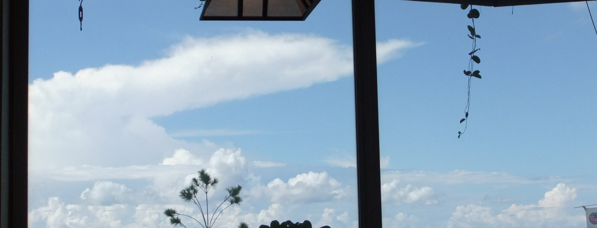 �s�񁕔��ؕK���I����D�������߂鉶�[���̂͂����Ȃ��l�C�O�����X�|�b�g