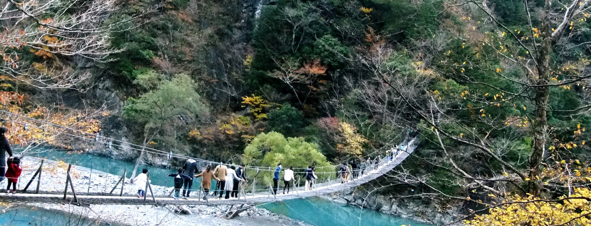 ���E�̃x�X�g�P�O�Ƀ����N�C���������{���w�݂̒苴�Ƃ́I�H