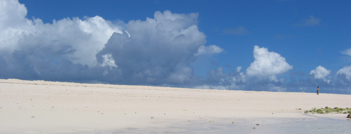 360xCƐ^ȃr[`̓Ivēu͂Ă̕lv