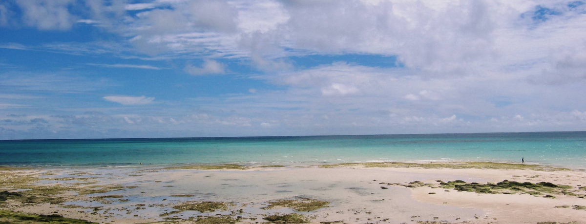 `Evē`uȌiF𒭂߂ȂyV[T[