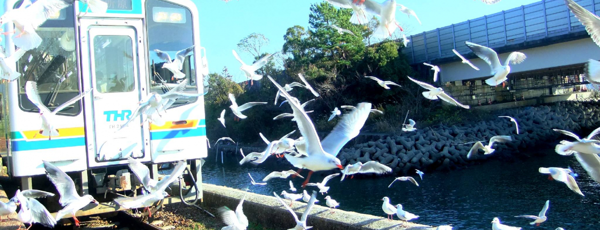 l΂̏{͂I~ɂy߂ȂoƕŖivI