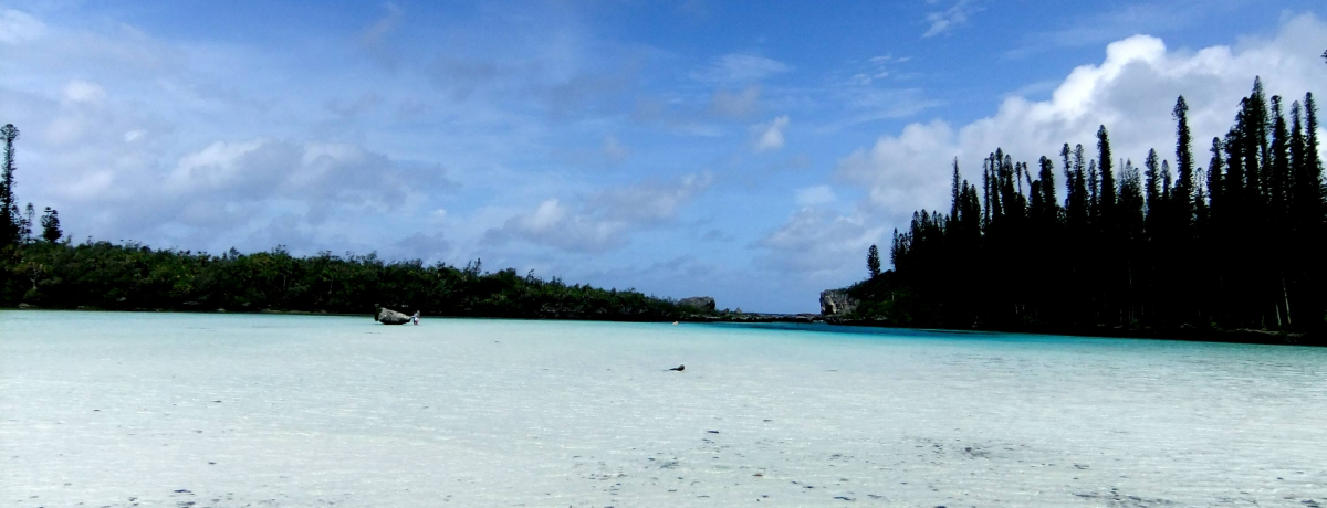 �_�邷�����i�I�j���[�J���h�j�A�̃s�b�V���k�E�i�`������