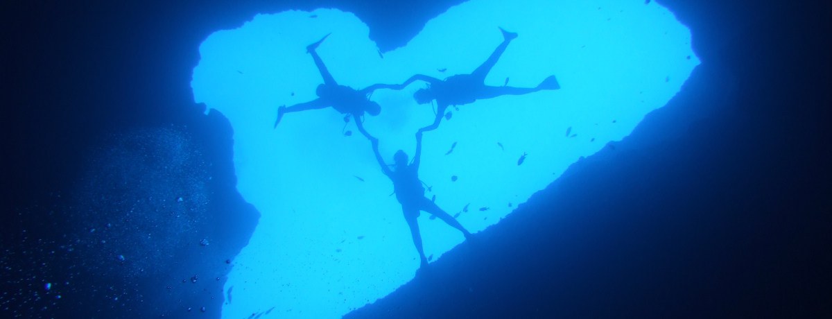 ɂ̃n[g̐iIHOÃu[z[Ŋ_CrOI