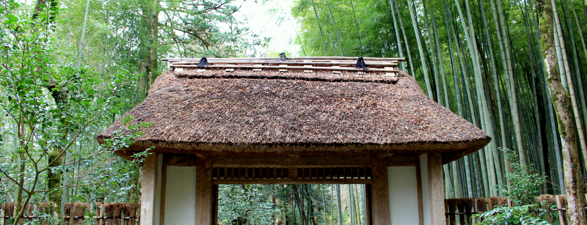 a̘aَqXuƂH[vfGINɋȂ閣͂Ƃ́IH