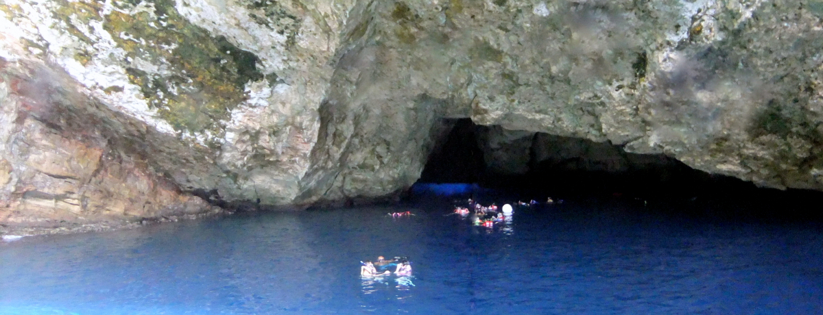 Ki100iŐ_I̓AITCpEObgŐiVm[PO_CrOI