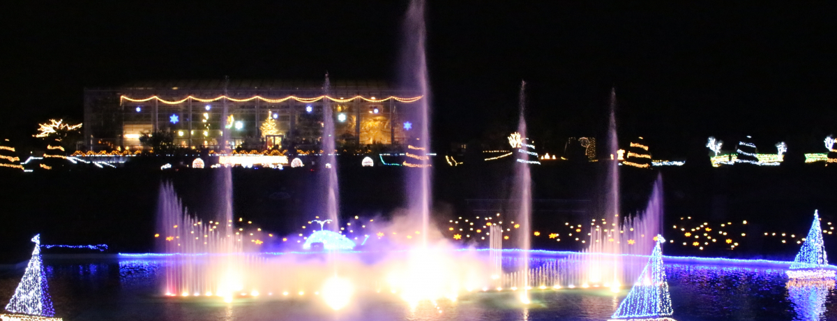 啬V[͕KI͂܂܂t[p[Nut[EC~l[Vv