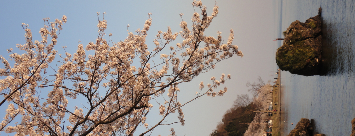 Ζʂ̐ƍ̃RgXg͈Ii΁uCÑv̂WOO{