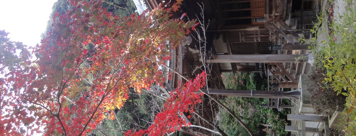 ���s�䂩��̌Ù��A���s�E�Ԃ̎��u�������v�͍g�t�������߁I