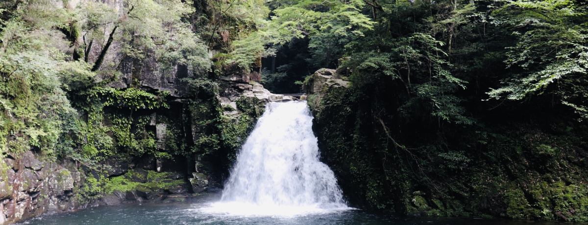 �����̐X�ї��I�O�d�u�Ԗڎl�\����v���v���ԕʃn�C�L���O�R�[�X�K�C�h