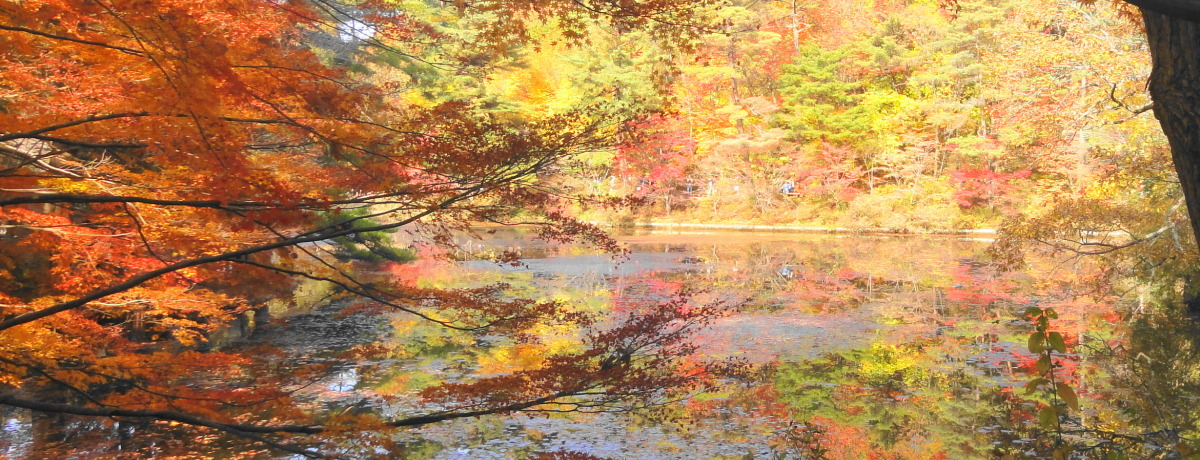 qAɃIXXI_ˎsXѐAŐigtnCLO