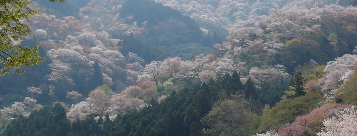 Ő܂gRAɂ͂Ȃ̗̔R