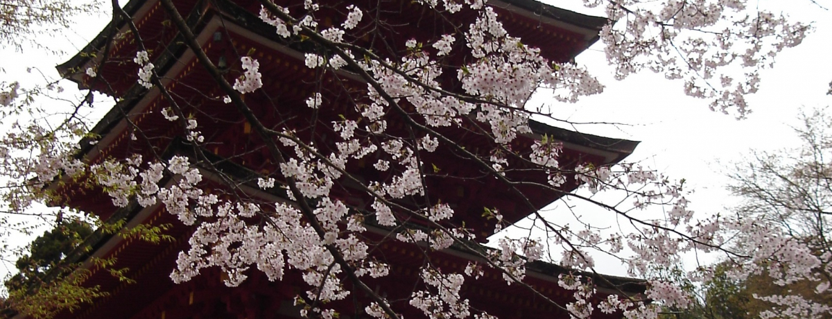 Îƍ̋Iޗǂ́u쎛EJEkR_Ёv