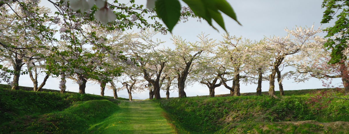 ���̖������ٌܗŊs�ɍ����Ȃ��c��A�V��g�����E�y���ΎO�����`���I