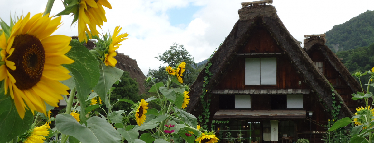 R̖LȐFʂƍ̒aAĂ̔싽