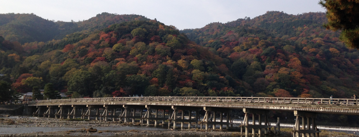 �x���ɎԂōg�t�̗��R�ց`�a�؁E�s��m�炸�Ŗ��i������@�I