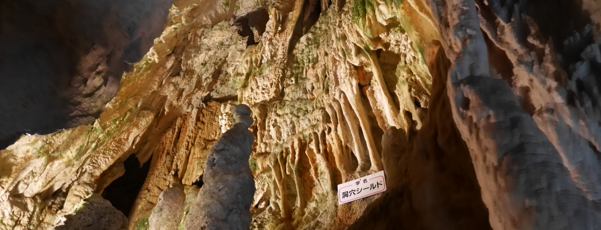 �ߓ��΂���������ˑ�ߓ����E���R�͑��Â̐̊C������!?