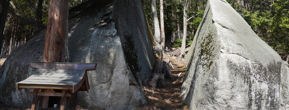 ���΂���ω��l�����ꂽ!?�R�����̃p���X�|�E�s�v�c�ȁu���΁v