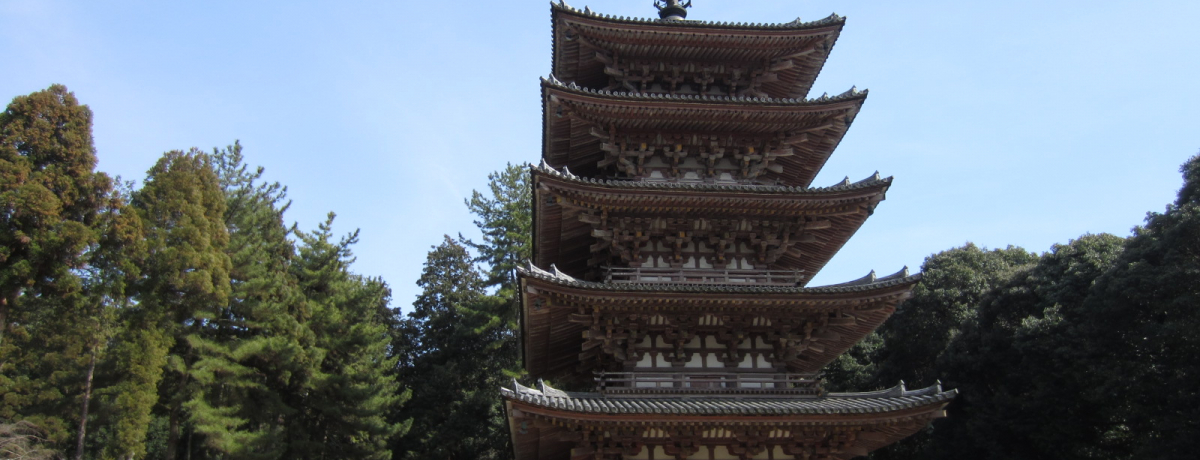 ���s�ň�Ԃ̍��̖����̑�펛�I�Ԃ̑��ȊO�̖��͂��Љ�I