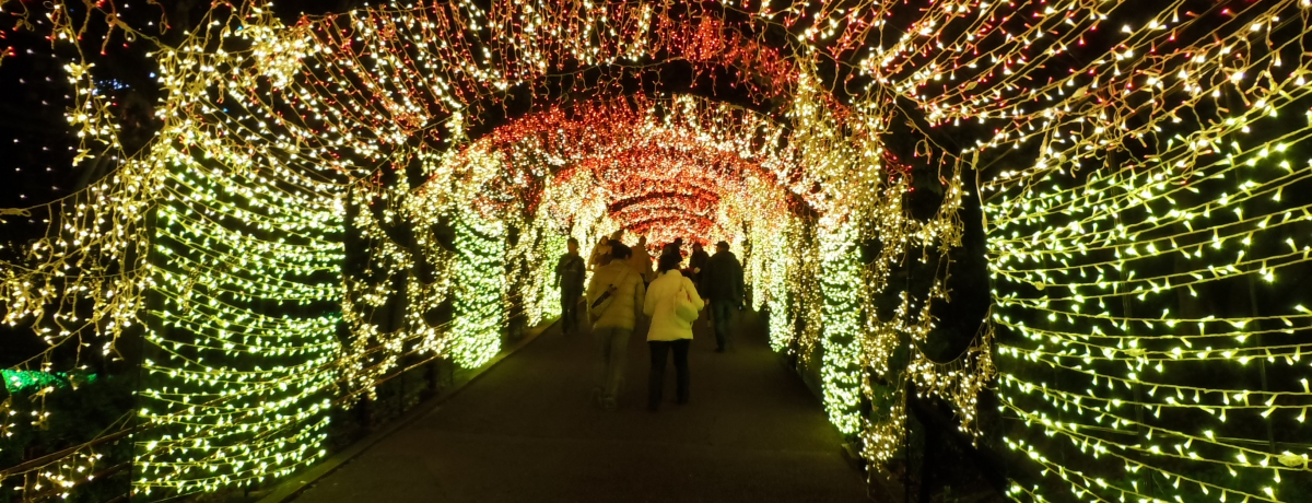 ���̂Ђ�p�[�����{�C�I100�����̃C���~�l�[�V�����͕K��