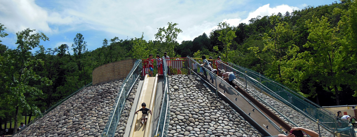 s󃖒r͖ŗVѕIǂ̊yɐeΊI