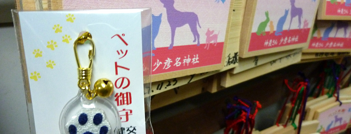 ybgƌNFI̒AECƏF_ЁI