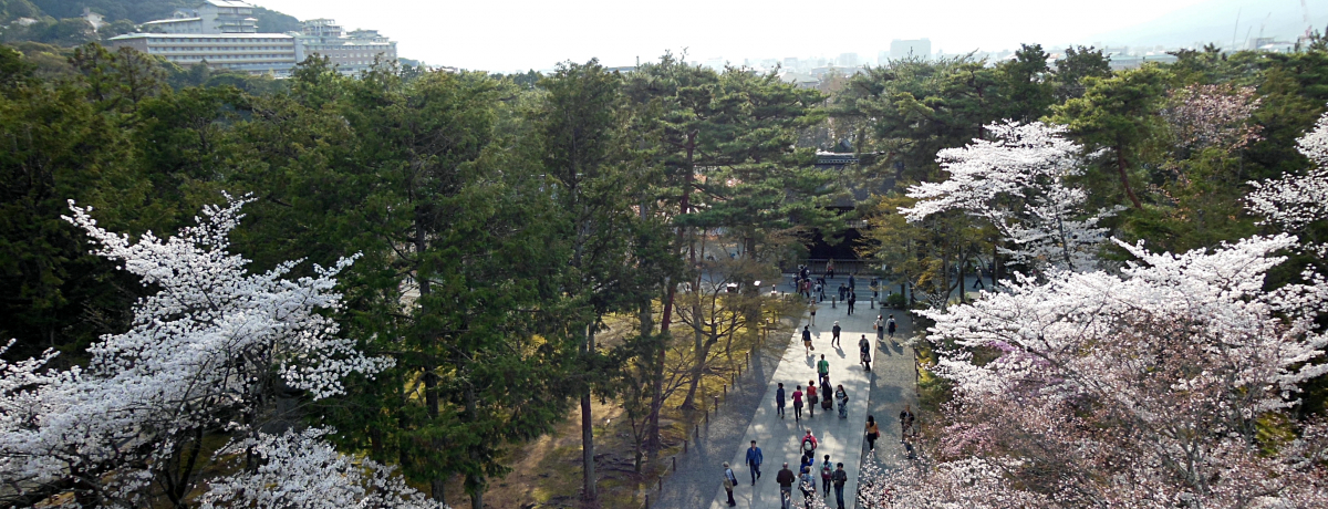 TOɏIOォ猩낷̍͂͂iI