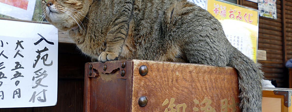 LD̔L_ЁIs̔~{Ђ͉ԁXq_