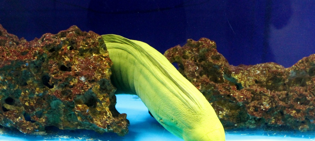 lĆu^[ṽ{[ƉBX|bgI